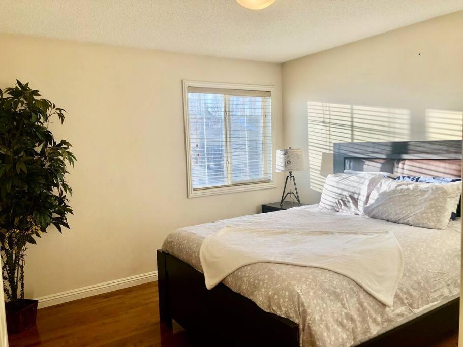 YYC 2500 Sq House In Springbank Hill Bl 261818 빌라 외부 사진