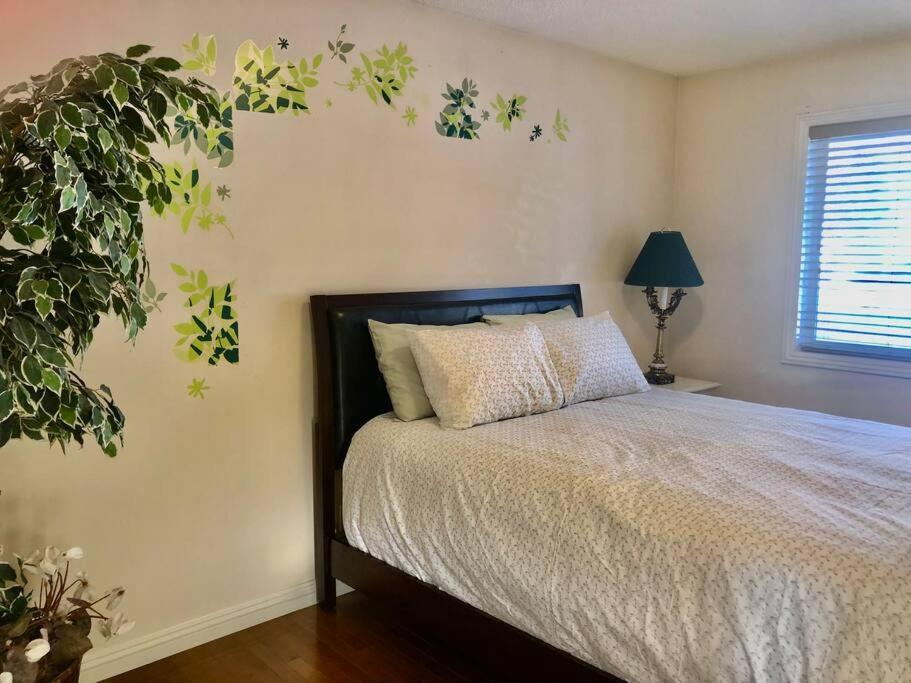 YYC 2500 Sq House In Springbank Hill Bl 261818 빌라 외부 사진